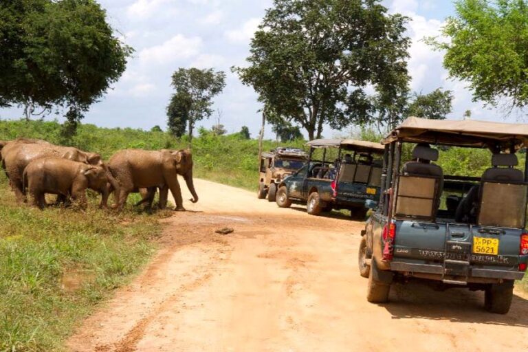 Udawalawe National Park